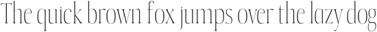 Alt Catwalk Light ttf (300) Sample