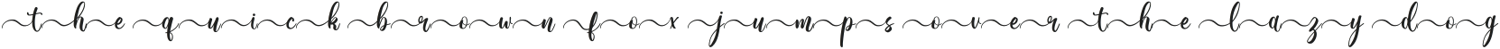 Wonderblend Front Front ttf (400)