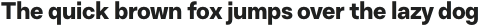 Resist Sans Text Regular otf (400)