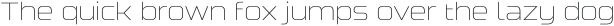 NebulosaLight otf (300)