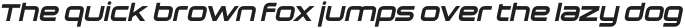 Sauro Bold Italic otf (700)