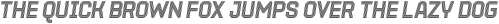 Parco Double Outline Inline Italic otf (400)