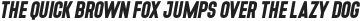 Denso Bold Italic otf (700)