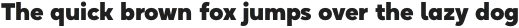 Okta Neue Heavy Italic otf (800)