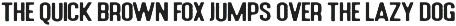 Holluise Vintage (Extra Badges Logo) preview