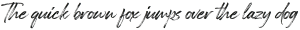 Painted Brush Slant Regular otf (400)