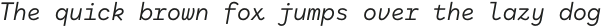 AntikorMono-RegularItalic otf (400)
