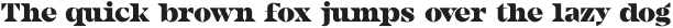 Camijo Display otf (400)