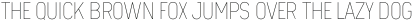 neuron Thin ttf (100)