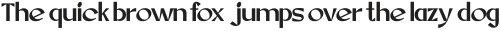 Corbyn Light otf (300)
