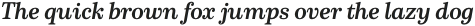 Schorel Norm Bold Italic otf (700)