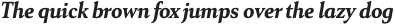 Senlot Serif Norm Black Italic otf (900)