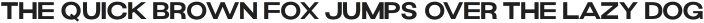 Naville SemiBold otf (600)