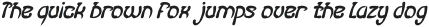 FISH BONE Bold Italic otf (700)