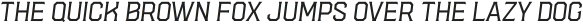 Hudson NY Pro Serif Ext Lt Itl ttf (400)
