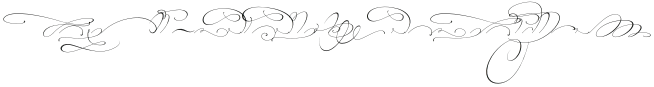TheSecret Swashes otf (400)