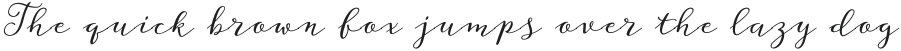 Storyteller Script Casual otf (400)