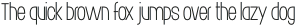 Bushman Sans Thin otf (100)