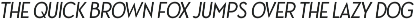 Ace Sans Oblique preview