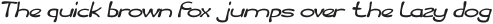 Fruit Vegetable Bold Italic otf (700)