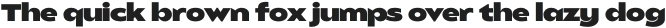Balgin Text Bold Narrow otf (700)
