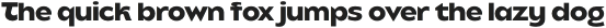 Balgin Text Bold Italic otf (700)