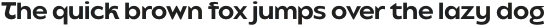 Balgin Text Light Narrow Italic otf (300)