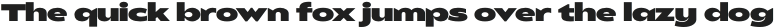 Balgin Extra Light Italic otf (200)