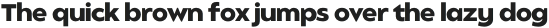 Balgin Light Expanded Italic otf (300)