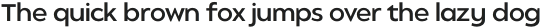 Balgin Extra Light Expanded Italic otf (200)