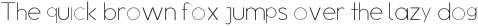 Evrim  Light otf (300)