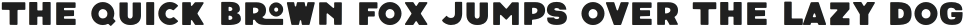 Neretto Sans Round otf (400)