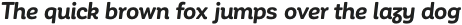 Corporative Soft Alt Bold It otf (700)