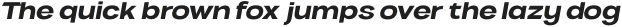 VVDS Benigne Sans MediumItalic otf (500)