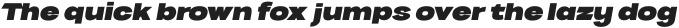 VVDS Benigne Sans UltraBoldItalic otf (700)