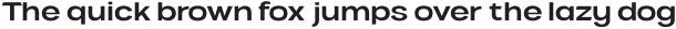 VVDS Benigne Sans Regular otf (400)