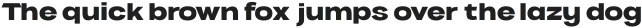 VVDS Benigne Sans SemiBold otf (600)