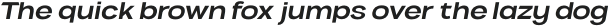 VVDS Benigne Sans RegularItalic otf (400)