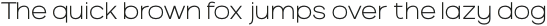 VVDS Benigne Sans Thin otf (100)