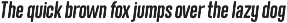 Neumatic Gothic Round preview