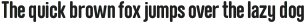 Neumatic Gothic Rnd ExtraBold ttf (700)
