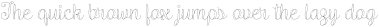 Validity Script Thin Regular otf (100)