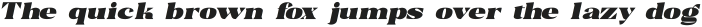 Trellis Italic Italic otf (400)