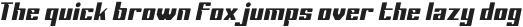 Sportage Medium Italic otf (500)