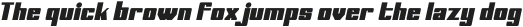 Sportage Extra Bold Italic otf (700) Sample