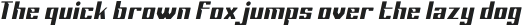 Sportage Light Italic otf (300)
