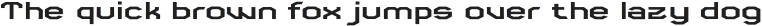 Crypto Code Medium Extended otf (500)