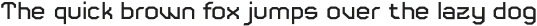 Crypto Code Light otf (300)