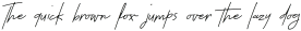 Thunderlightning Script Pen Italic otf (300)