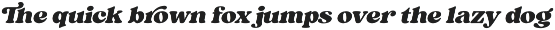 Sergio Trendy - Modern Serif Font preview